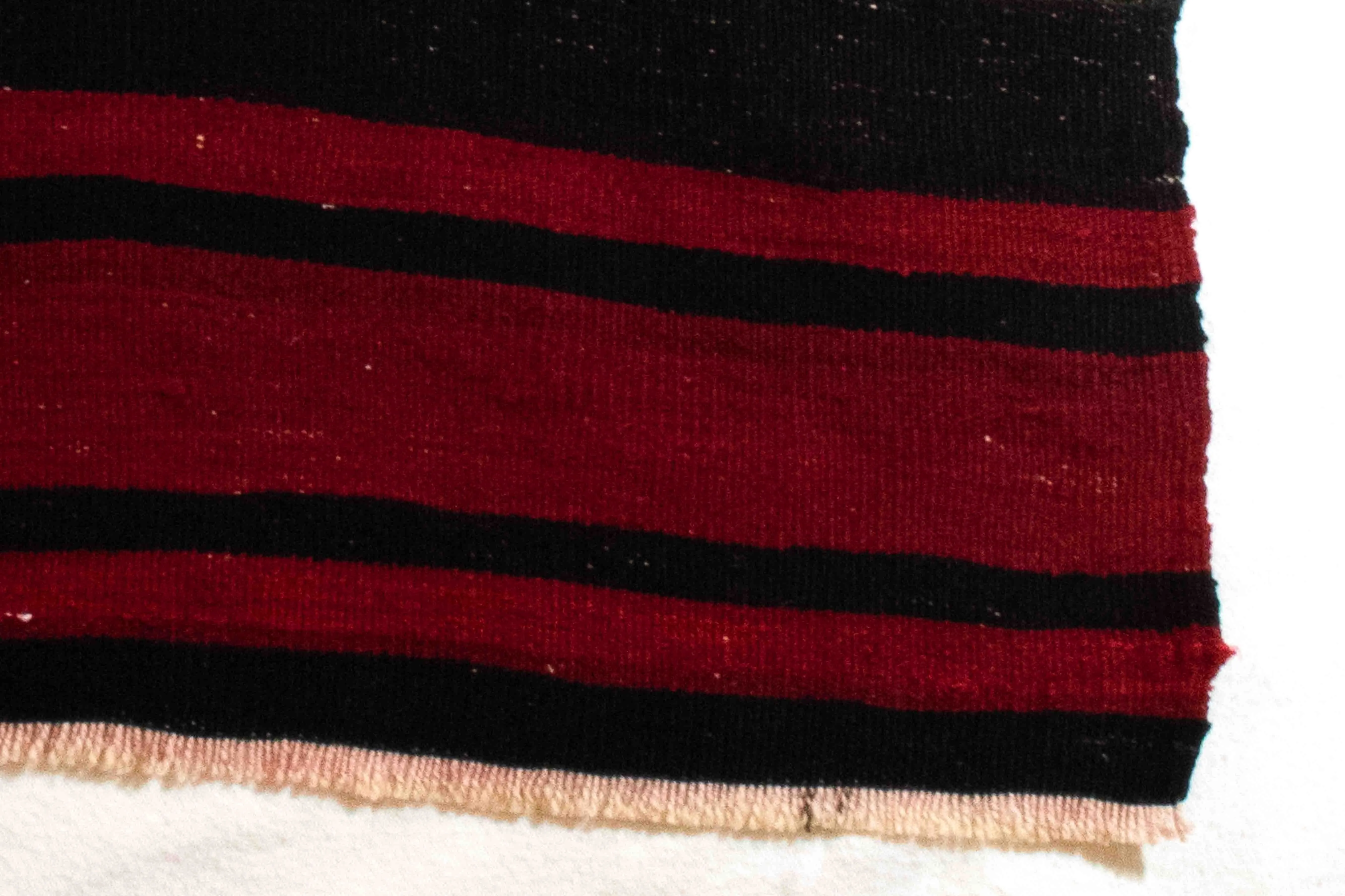 Adam <br> (2'10" x 4'0")
