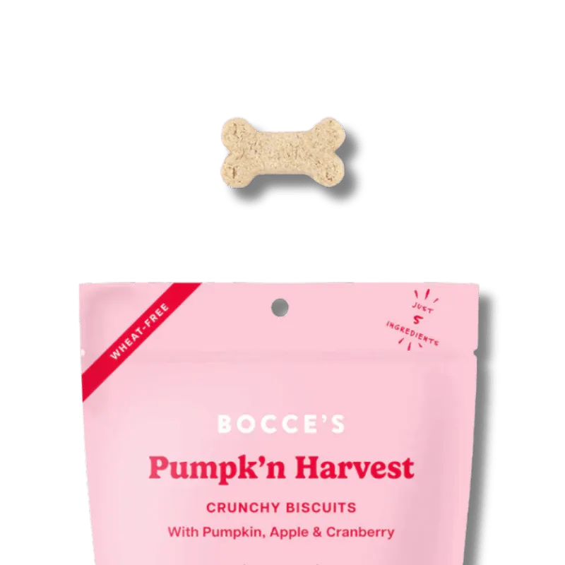 Bocce's Bakery - Pumpk'n Harvest Small Batch Dog Biscuits - 12oz