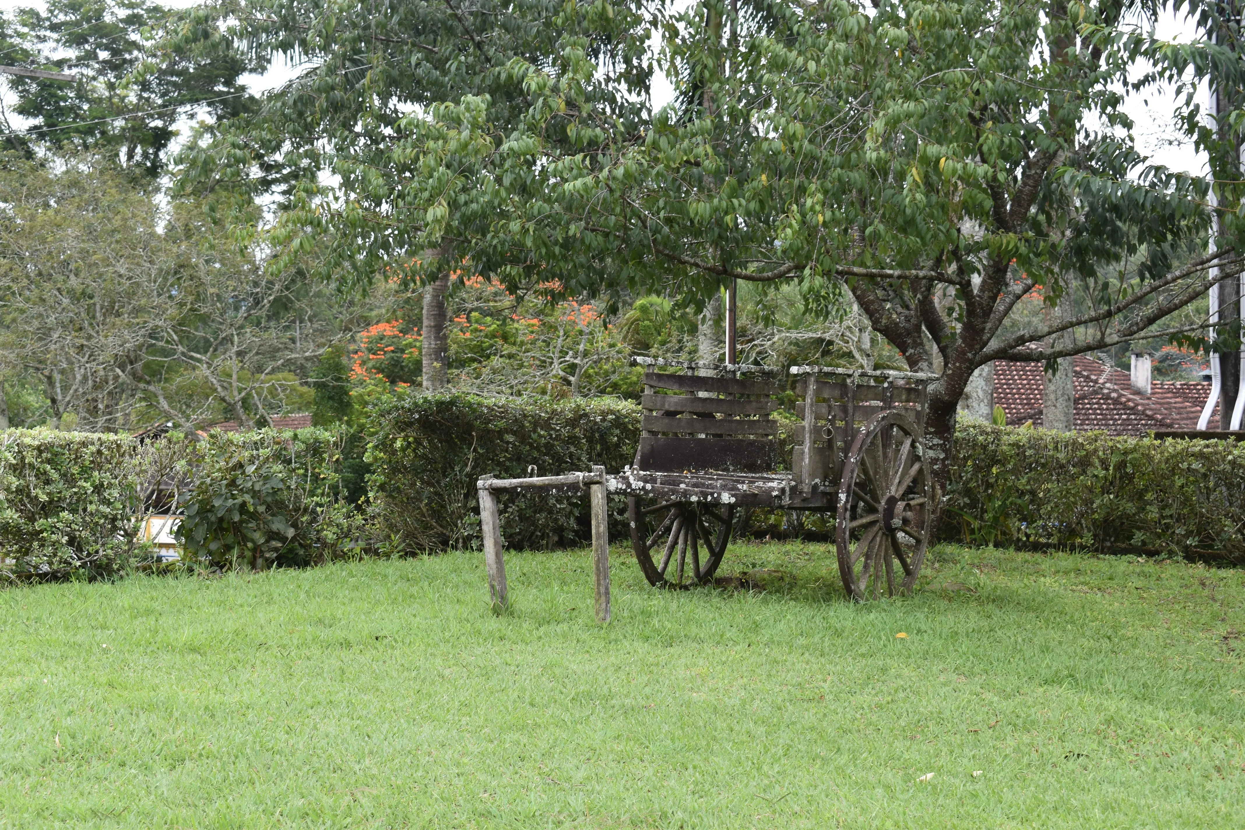 Brazil Fazenda Barreiro Pulped-Natural Microlot. Available only in Salisbury (MA)
