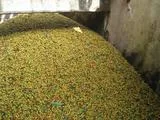 Brazil Sul Minas Natural-Process AAA DECAF. Available only in Salisbury (MA). NEW ARRIVAL!