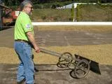 Brazil Sul Minas Natural-Process AAA DECAF. Available only in Salisbury (MA). NEW ARRIVAL!