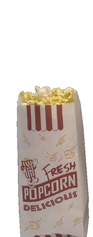 Bulk Paper Popcorn Bags - Superior Grade