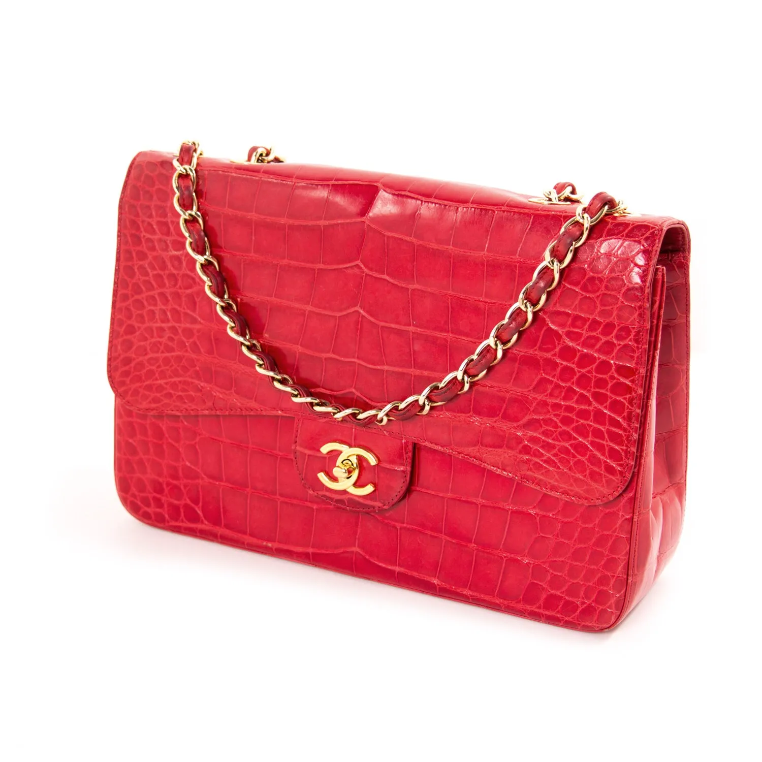 Chanel Classic Crocodile Jumbo Single Flap Bag