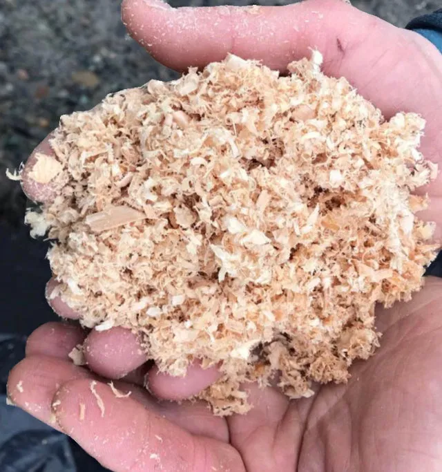 Chicken Coop Shavings