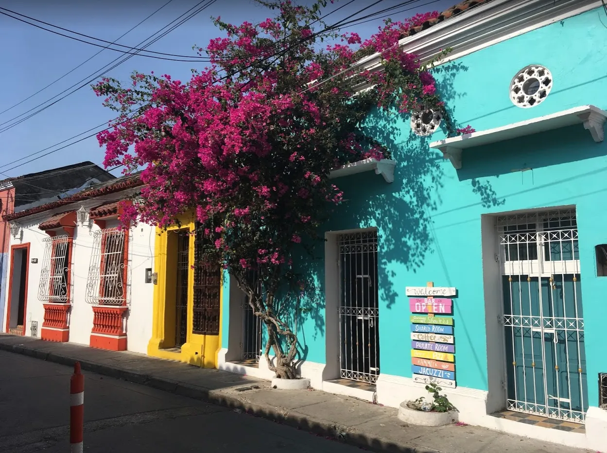 Colombia Tote (by Pam Polcaro)