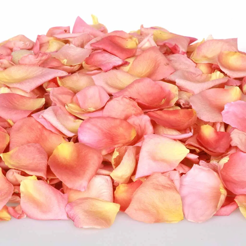 Coral Serenade™ Freeze Dried Rose Petals