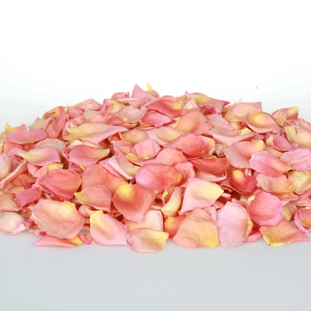 Coral Serenade™ Freeze Dried Rose Petals