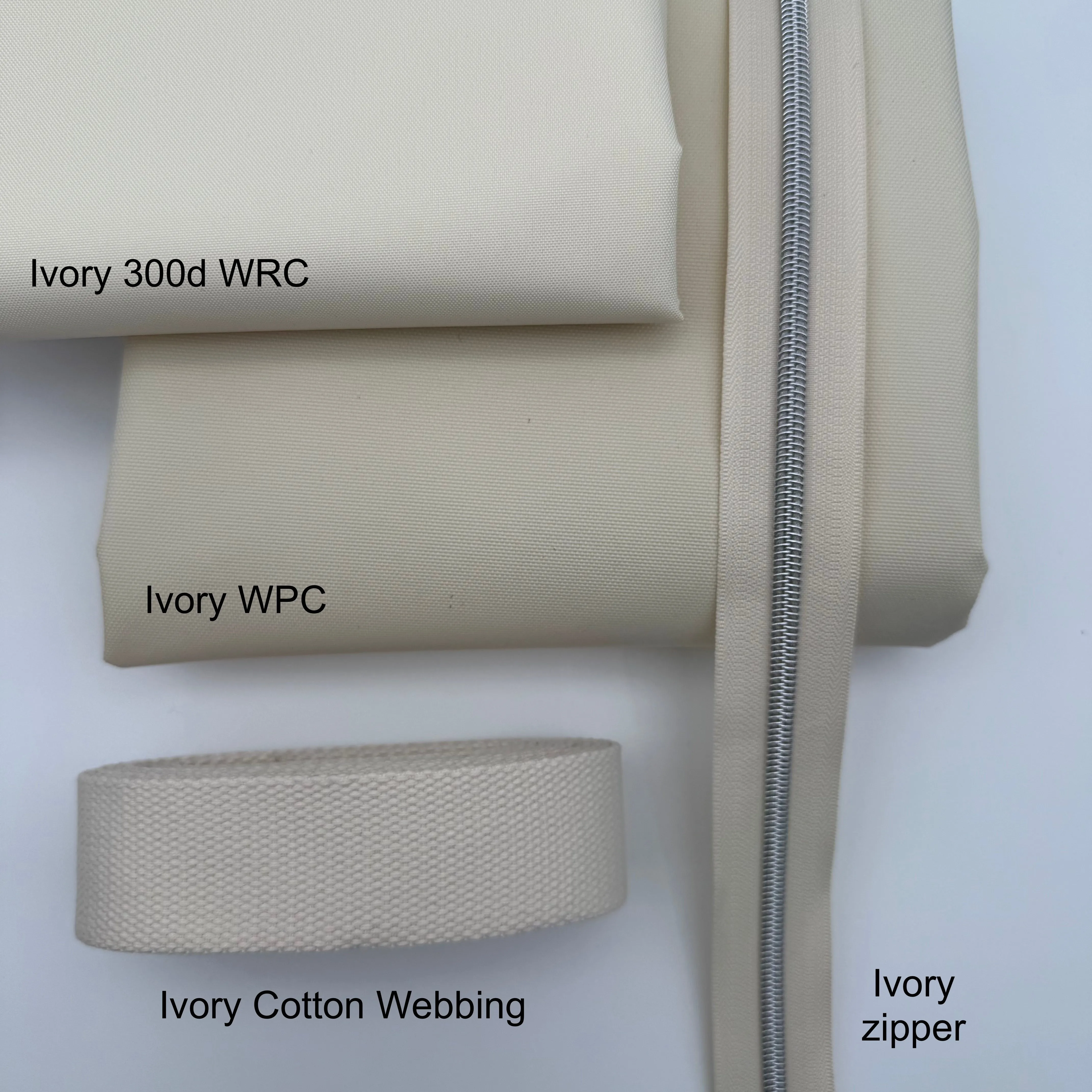 Ivory 300d