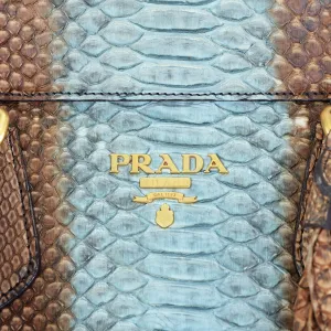 Large Snakeskin Frame Bag