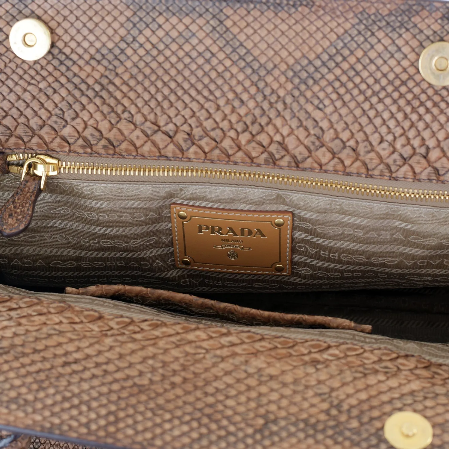 Large Snakeskin Frame Bag