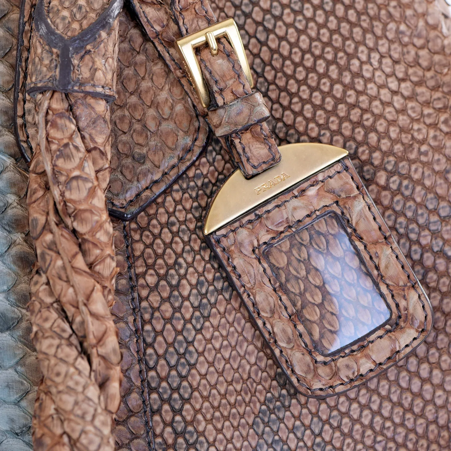 Large Snakeskin Frame Bag