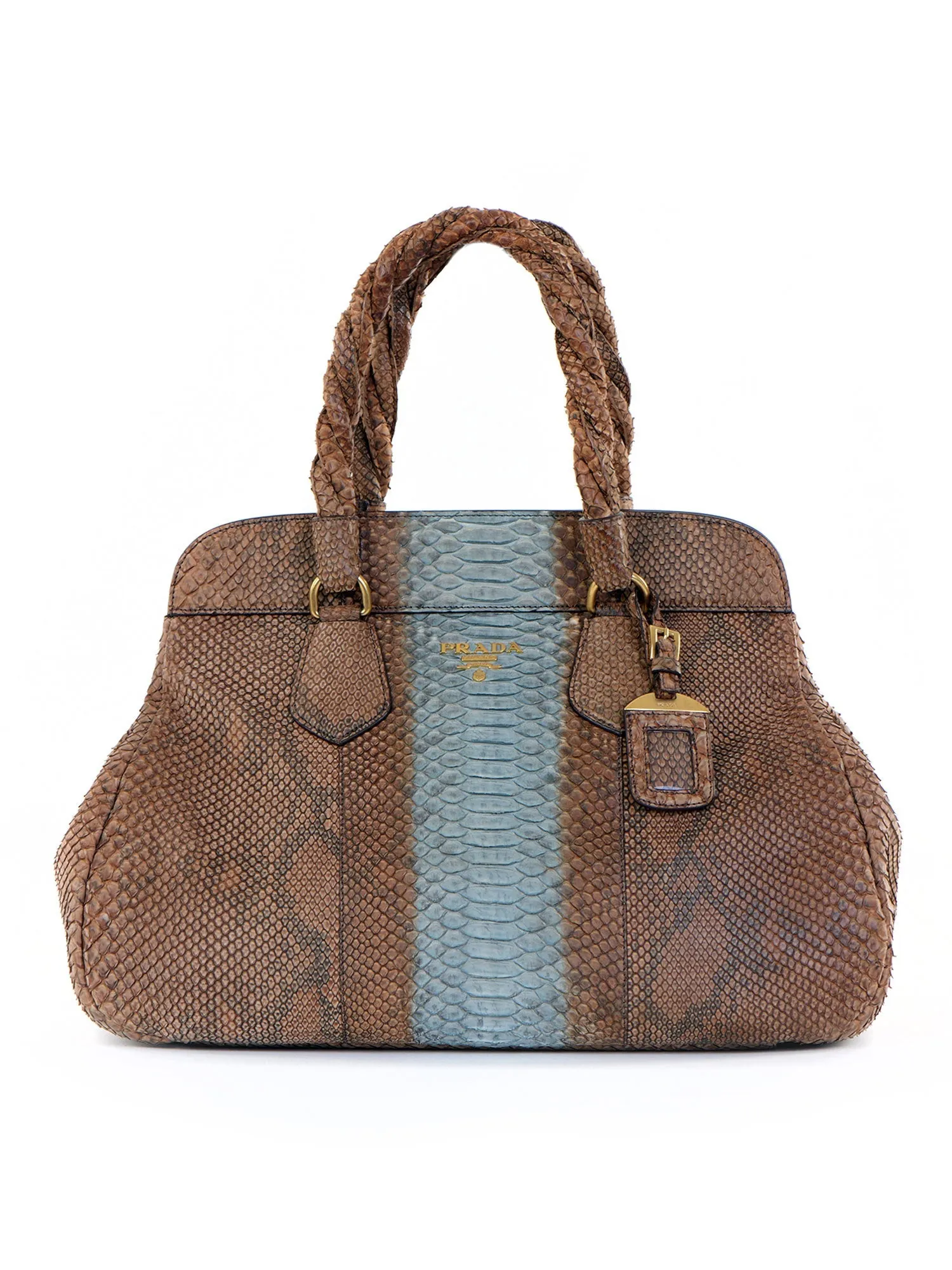 Large Snakeskin Frame Bag