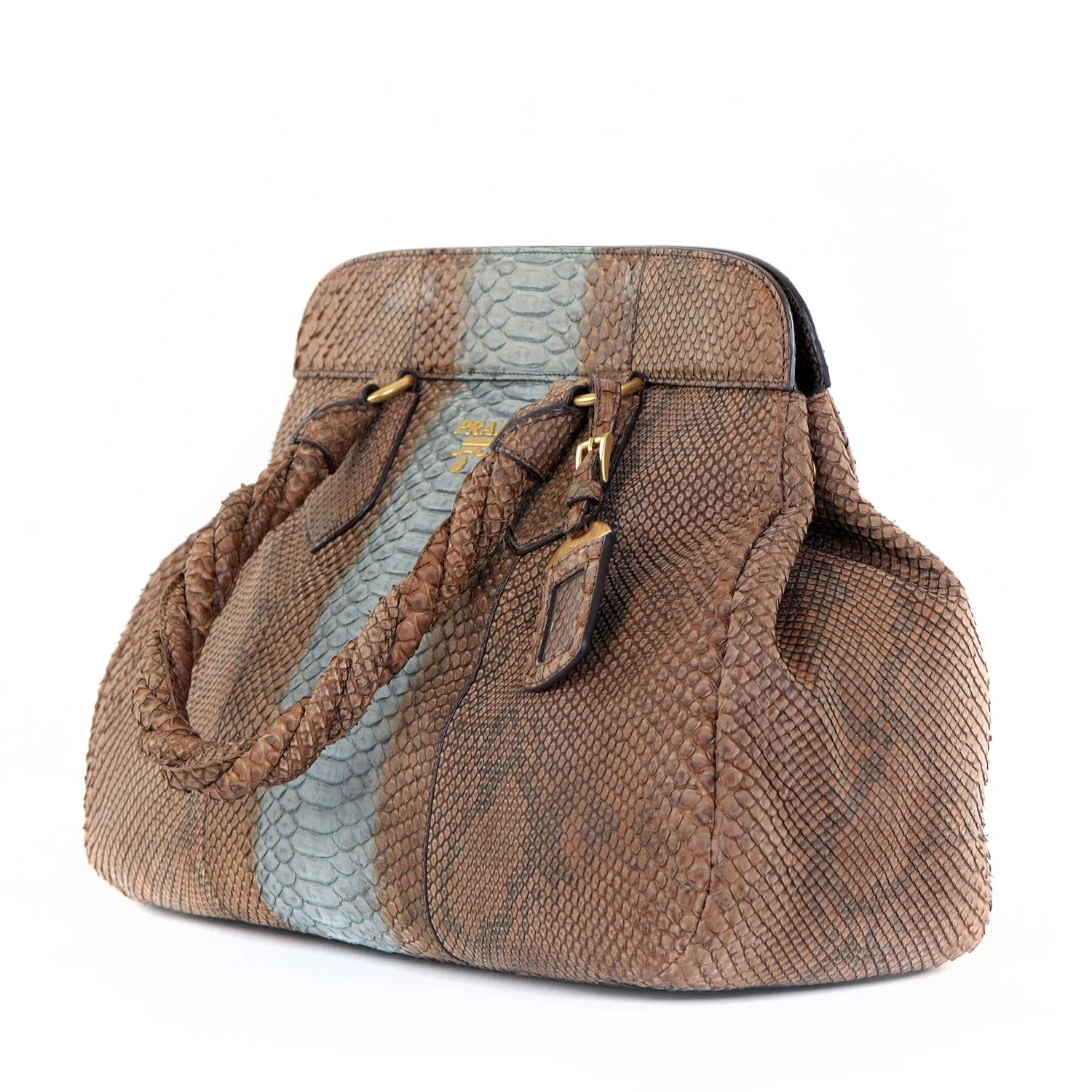 Large Snakeskin Frame Bag