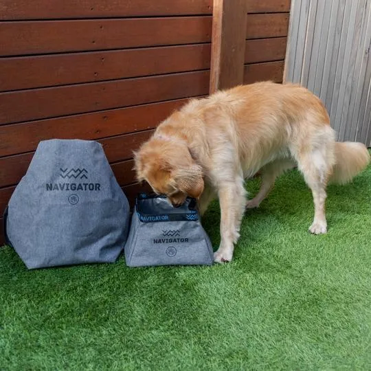 Navigator Gear 3 Piece Dog Travel Buddy