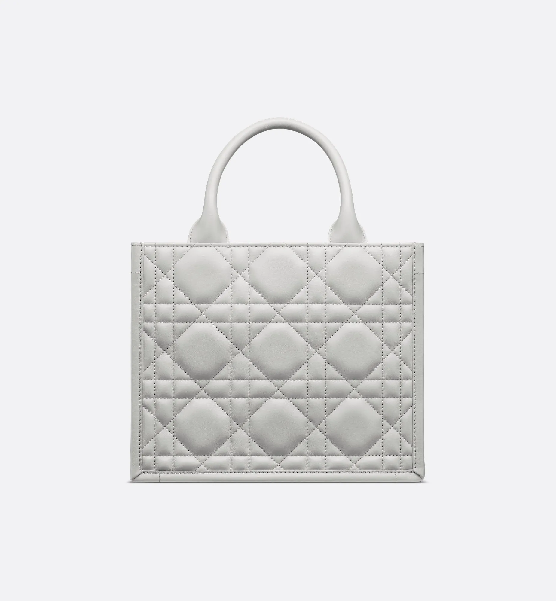 Small Dior Book Tote