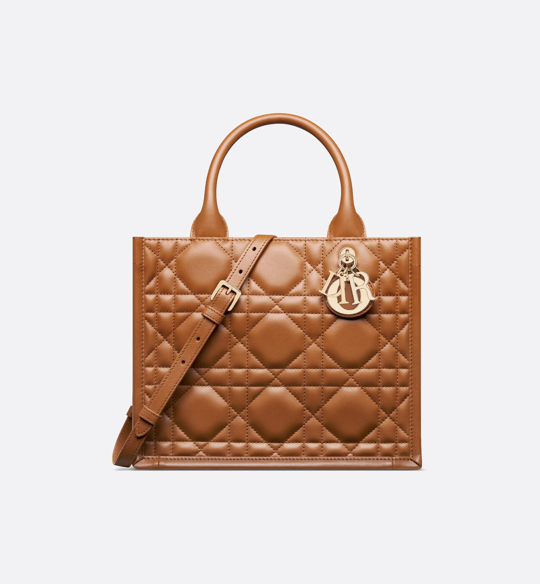 Small Dior Book Tote