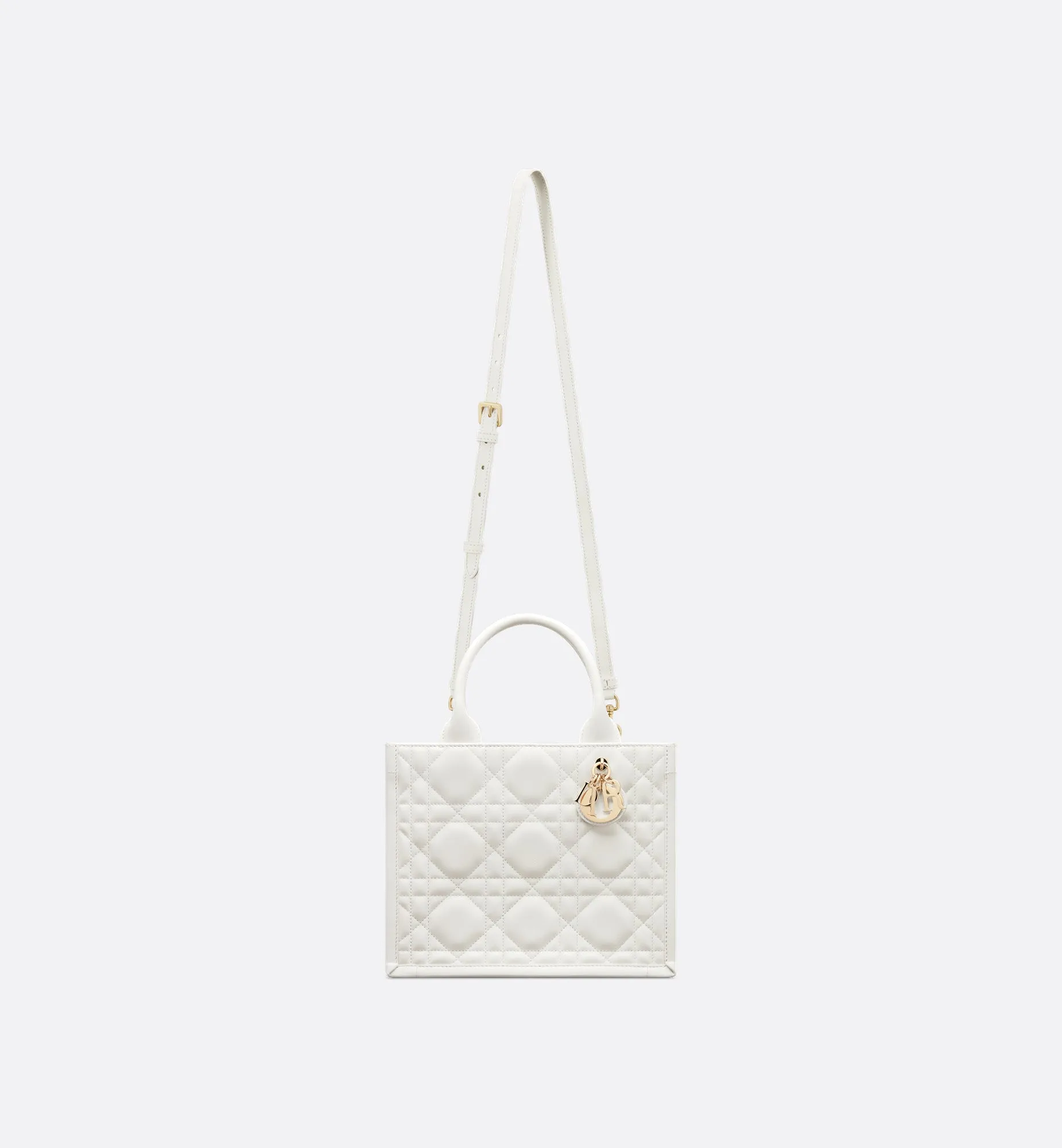 Small Dior Book Tote