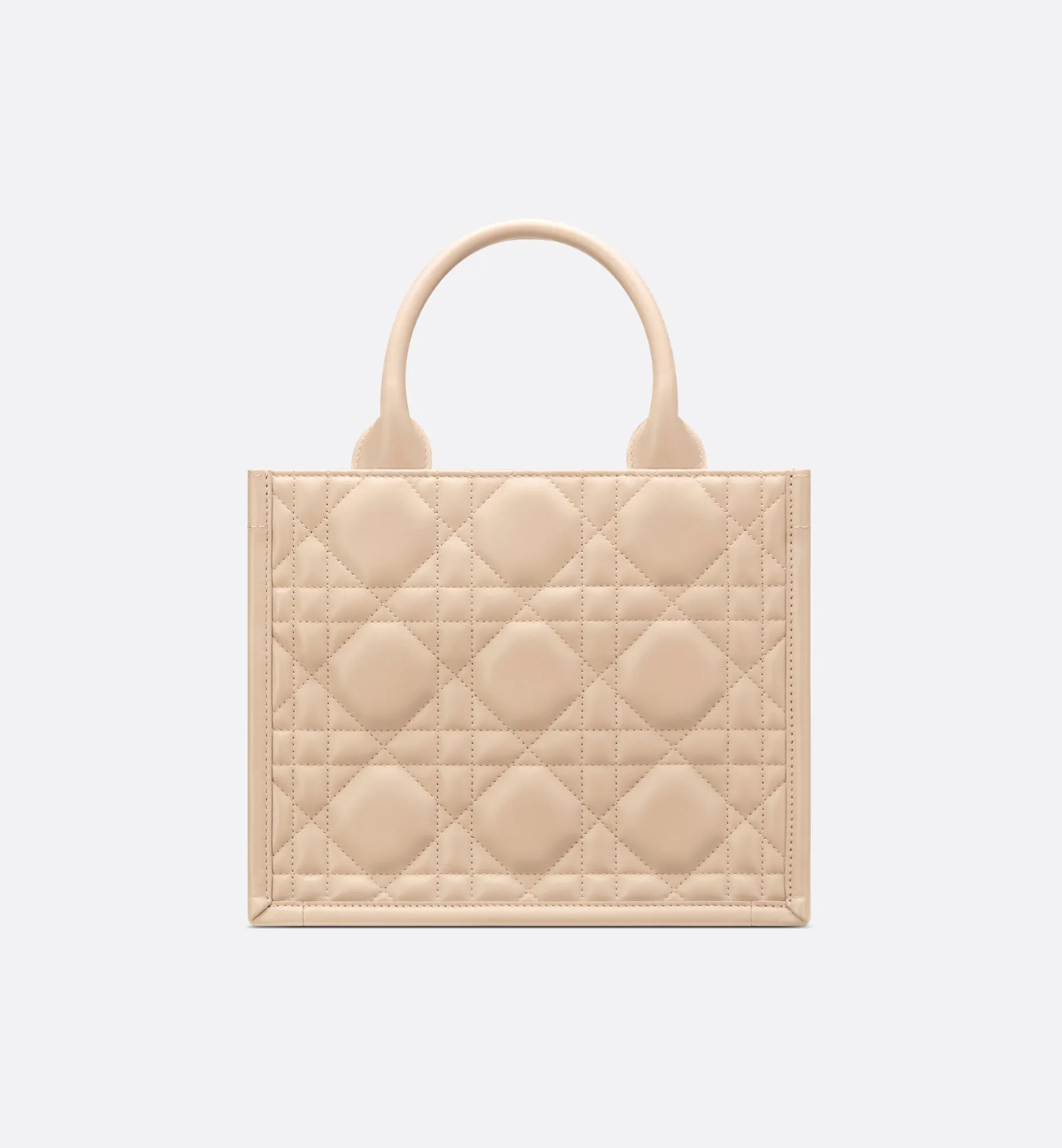Small Dior Book Tote