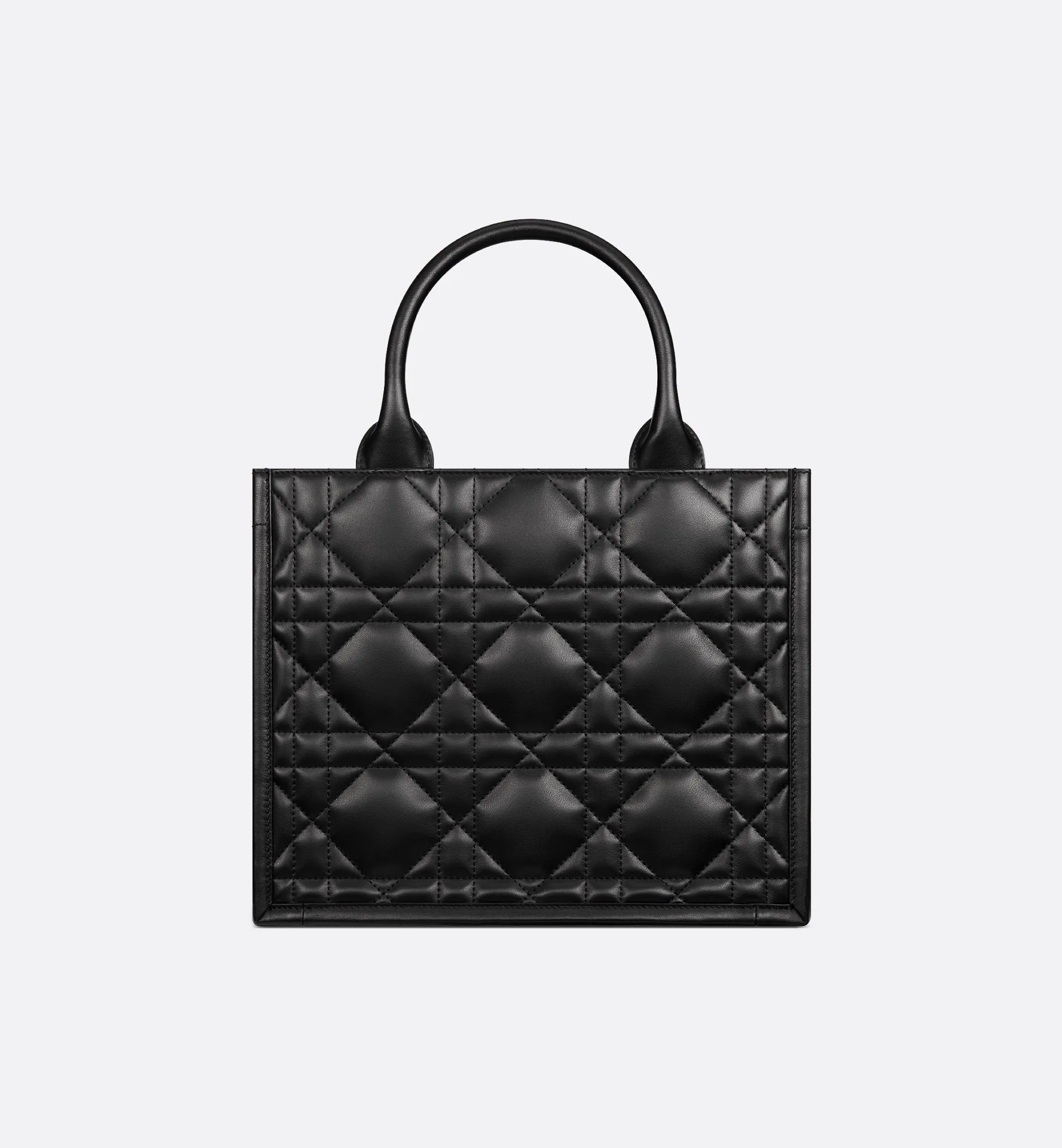 Small Dior Book Tote