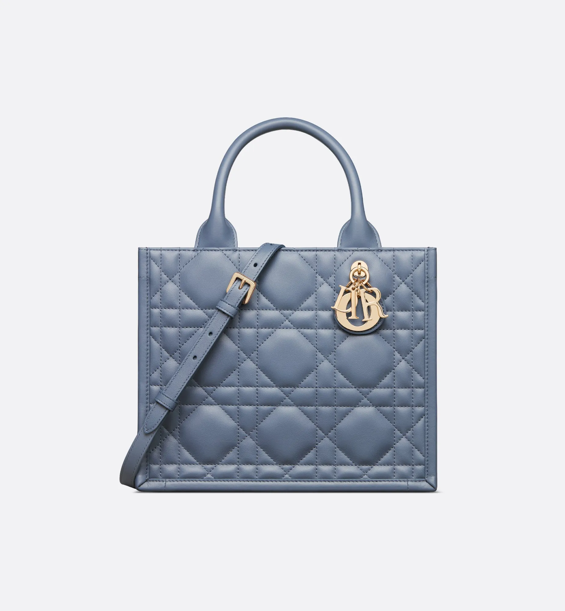 Small Dior Book Tote