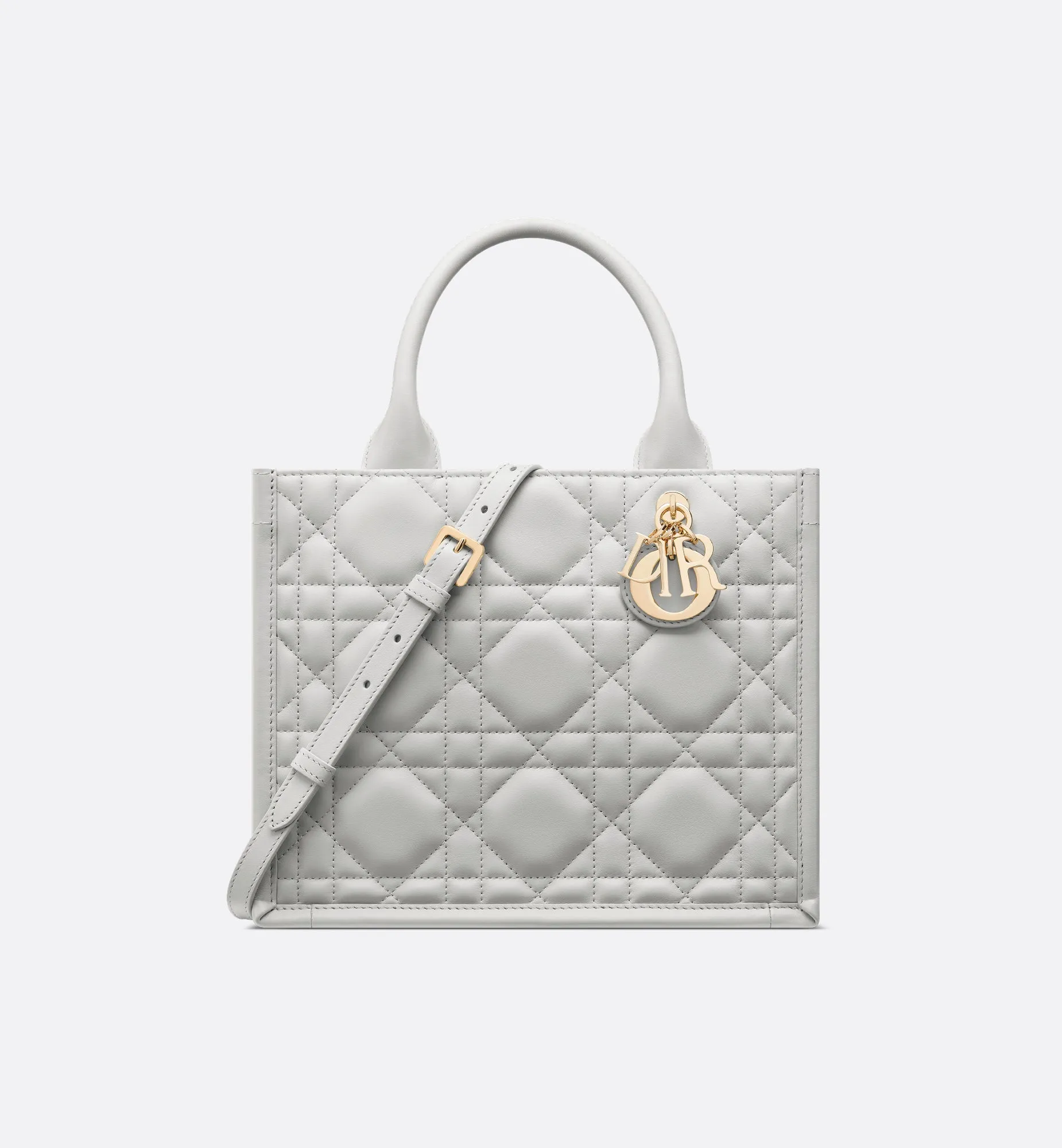 Small Dior Book Tote