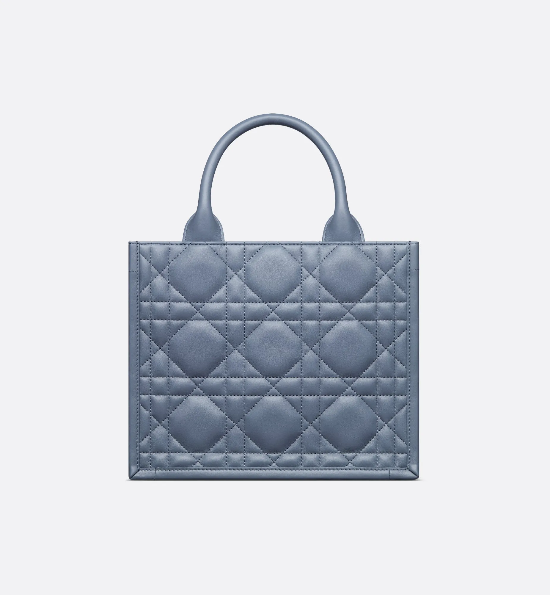 Small Dior Book Tote
