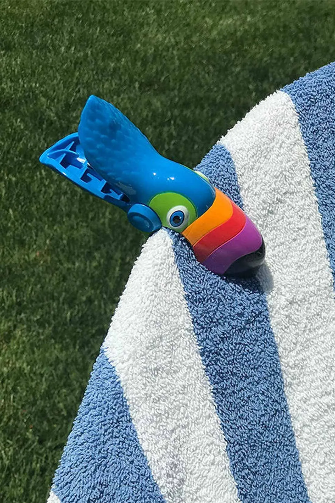 Toucan Boca Clip